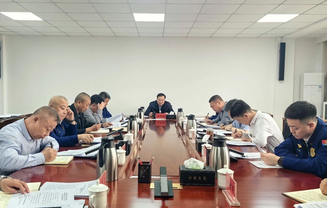 兴安盟应急管理局召开局党委2026年第7次委员会议暨落实盟委巡察“回头看”反馈意见整改工作会议